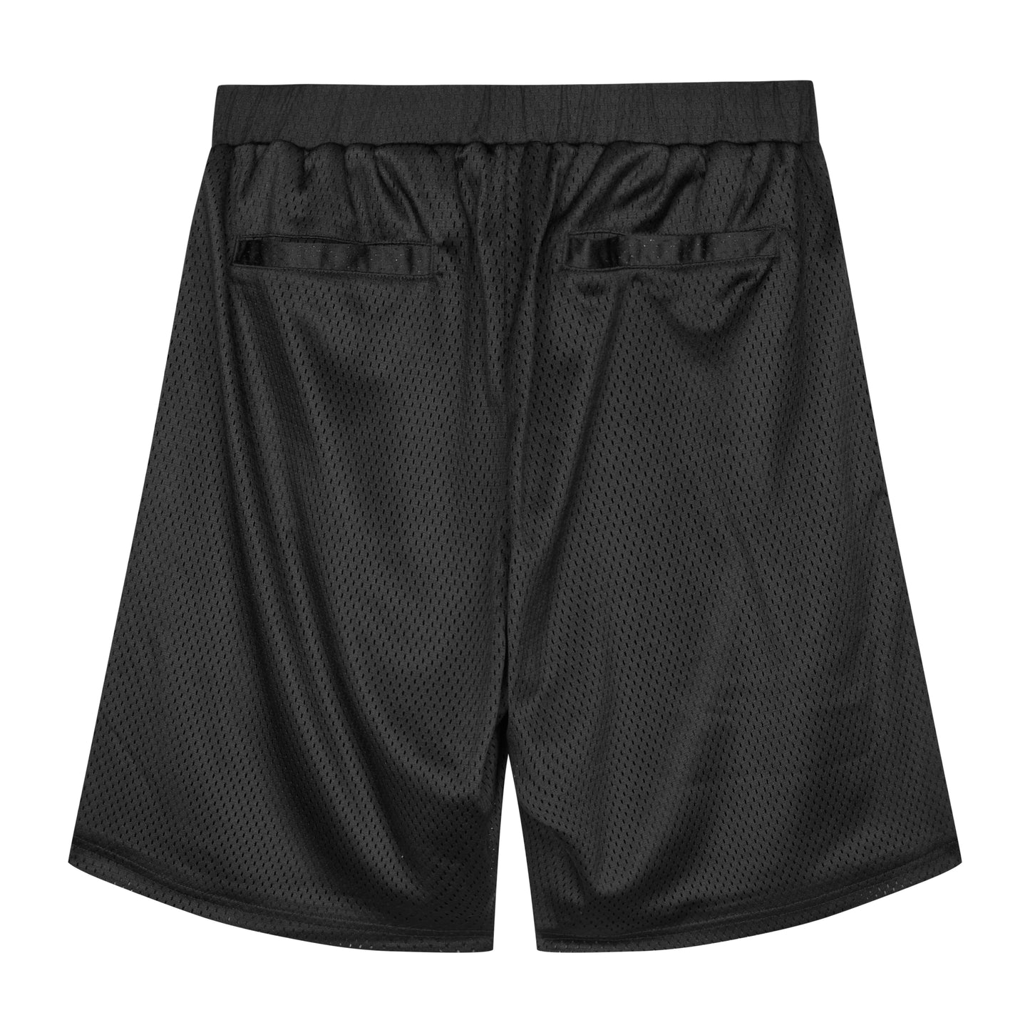 Script Mesh Shorts