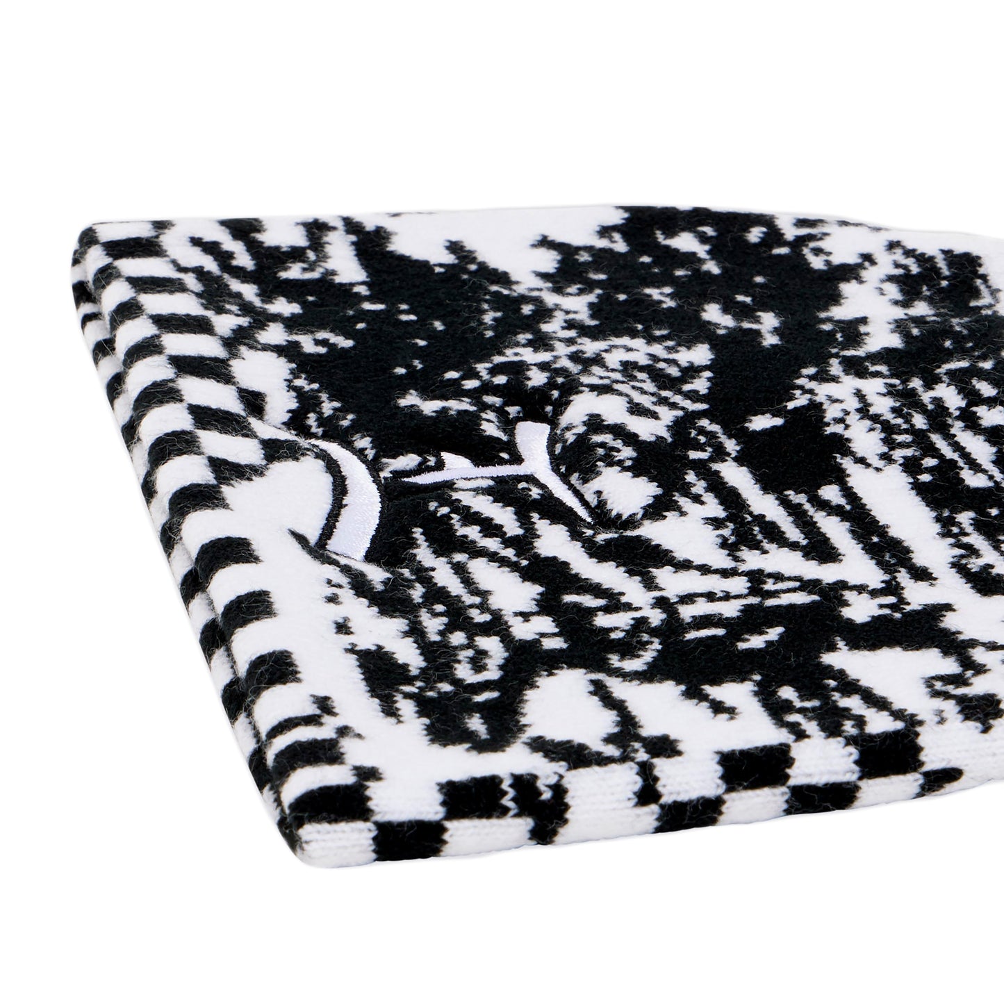 Panku Beanie
