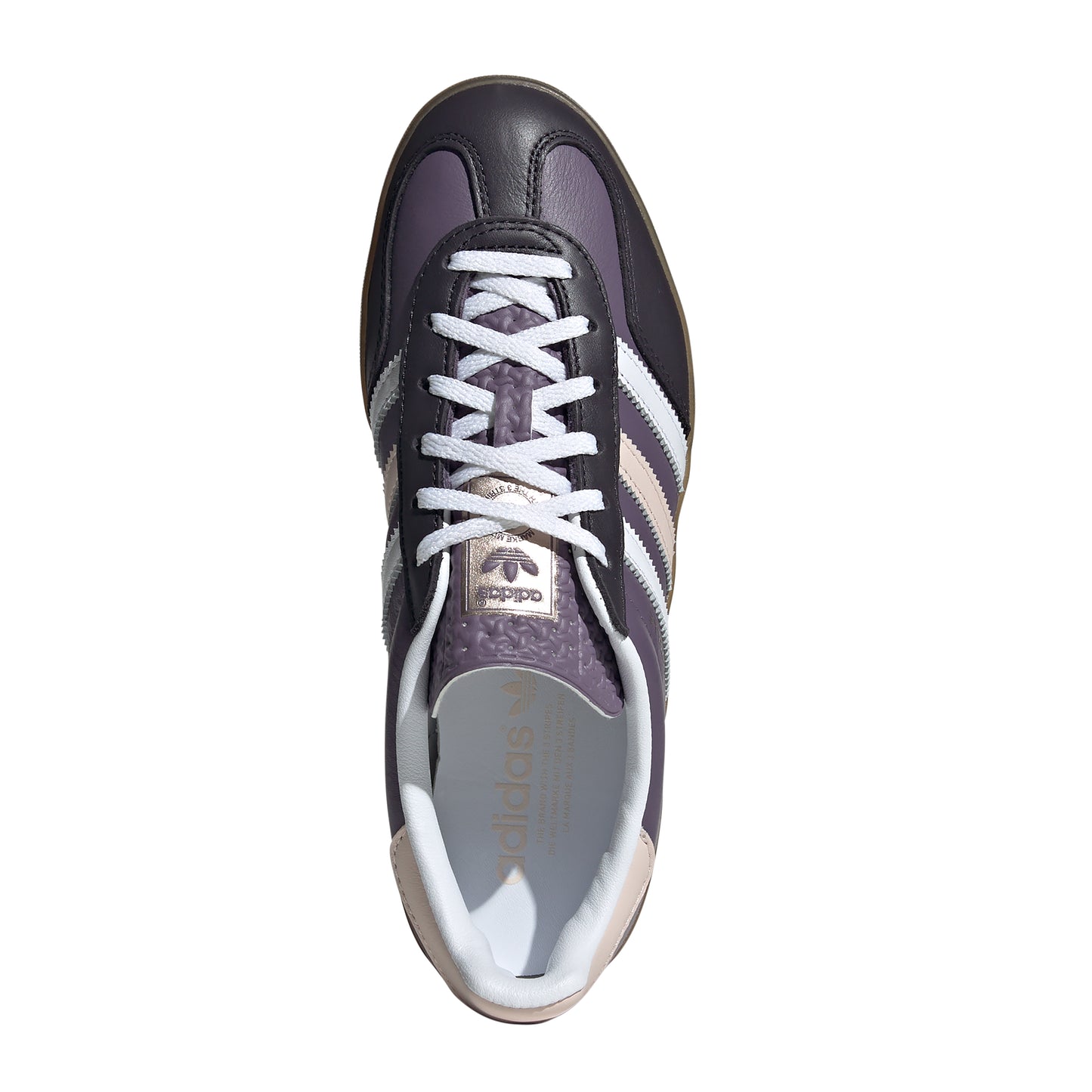 Gazelle Indoor