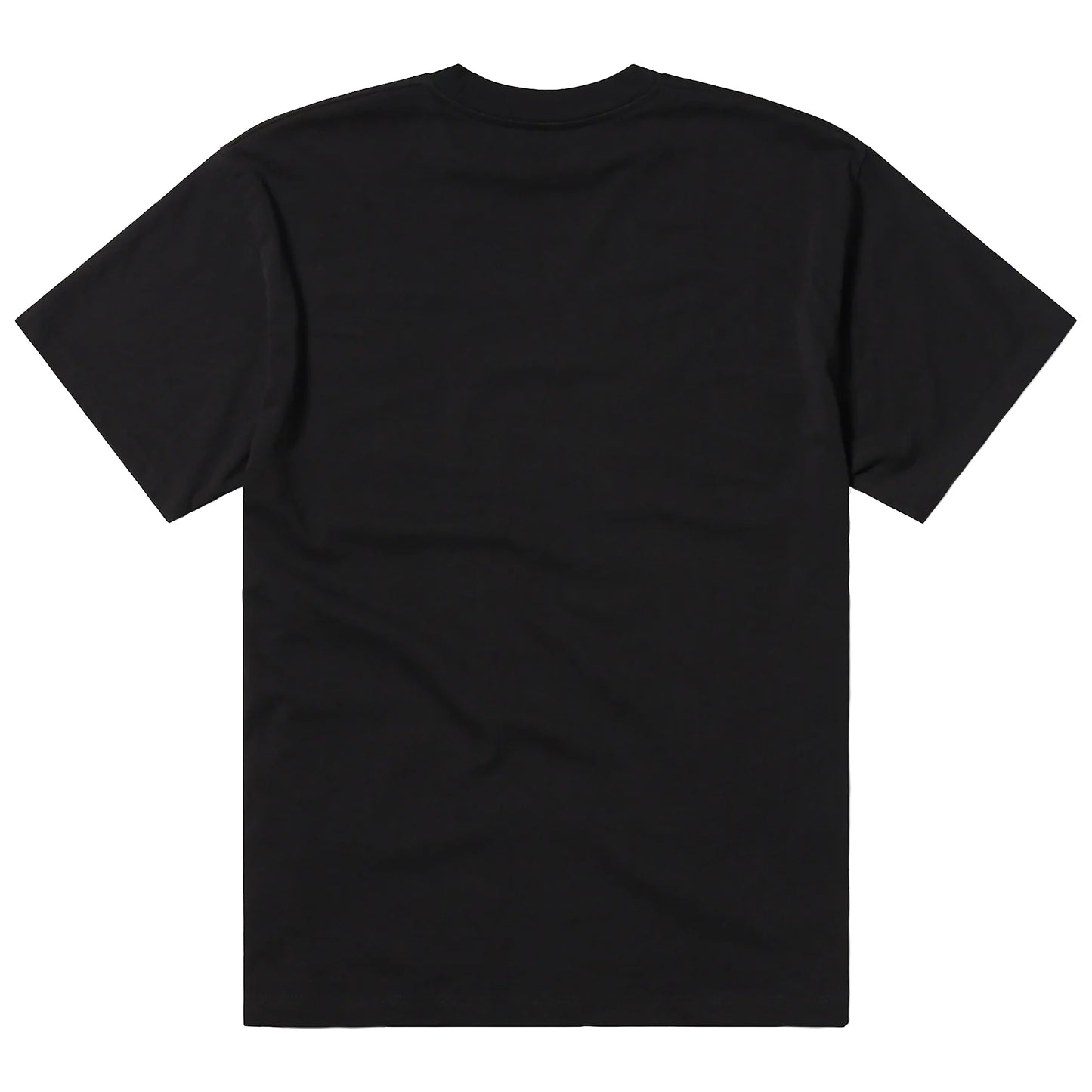 Vintage Aries & Destroy SS Tee