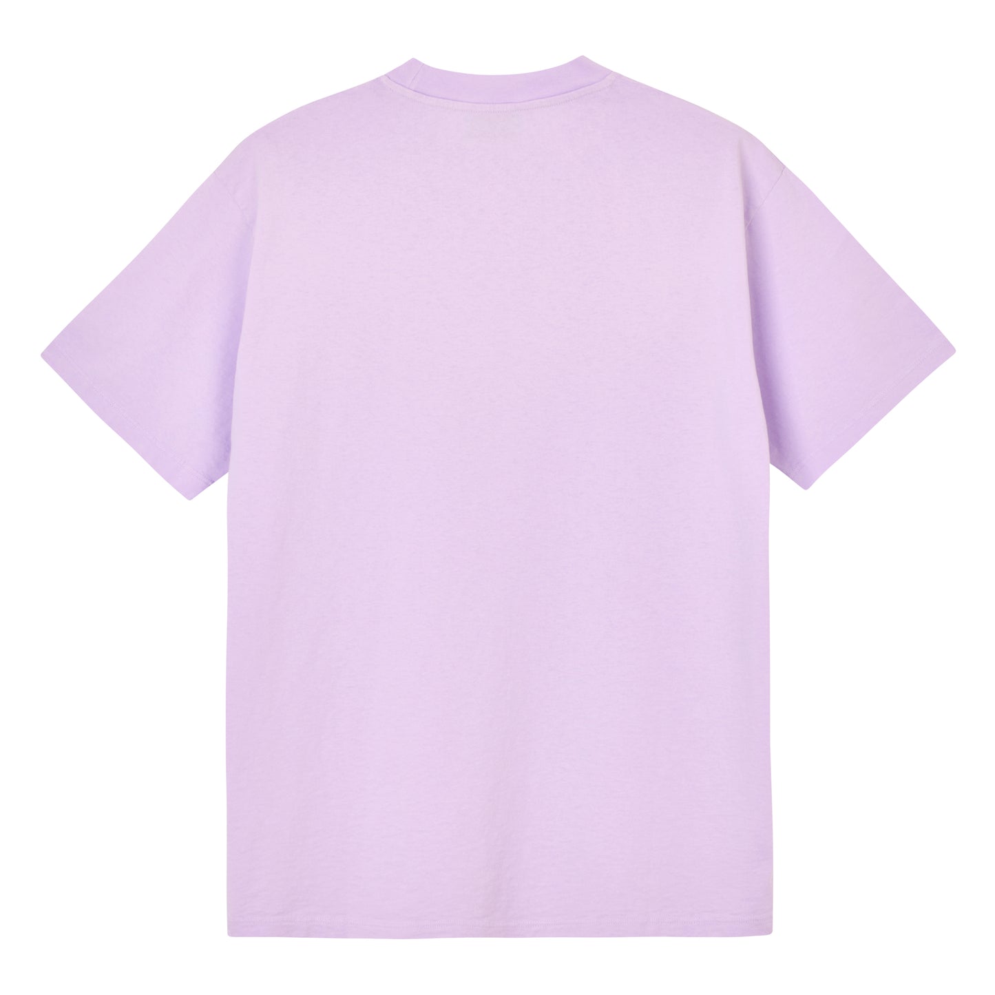 Sunbleached Temple SS Tee