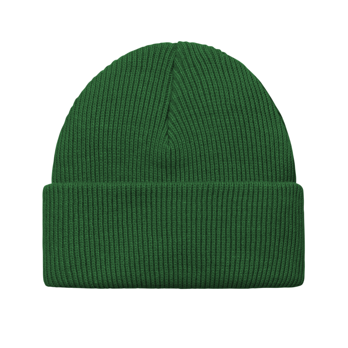 Carhartt WIP Gordan Beanie Aspen Green