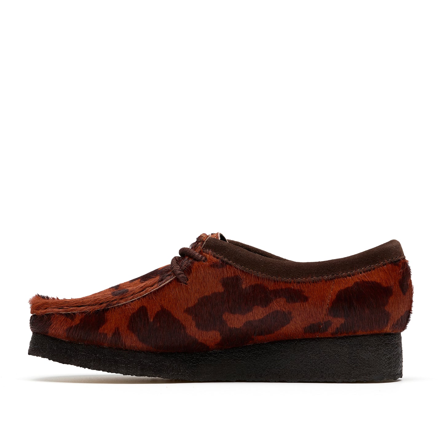 Wallabee (W)