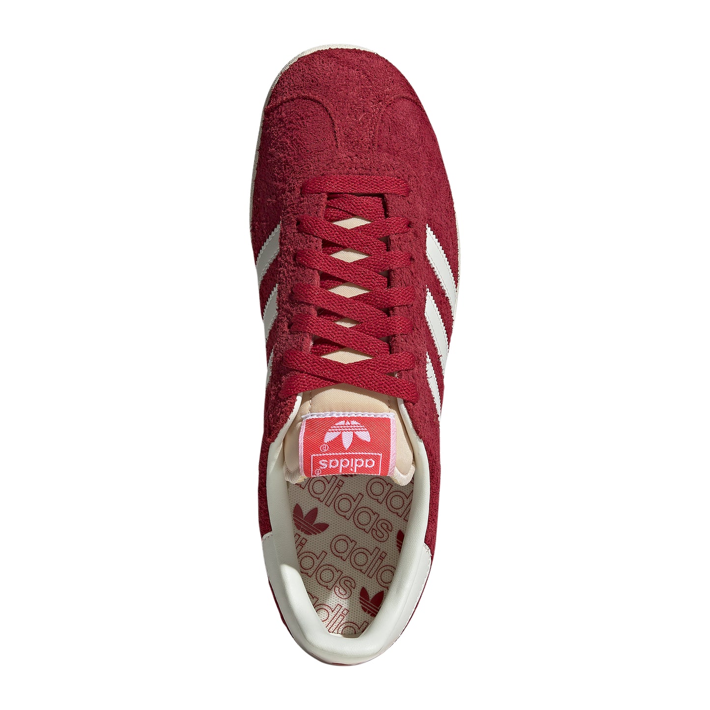 Gazelle