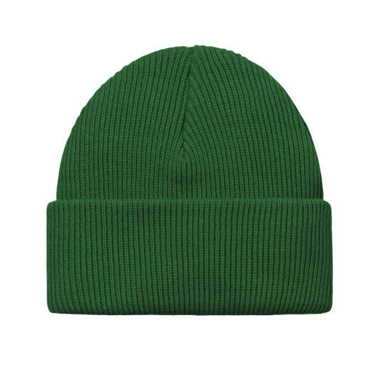 Carhartt WIP Gordan Beanie Aspen Green