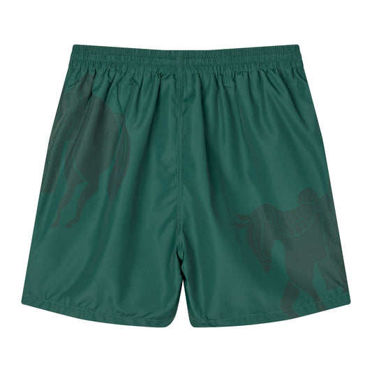 Short Horse Shorts